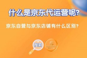 京东 电商还有哪些，京东 电商还有哪些模式