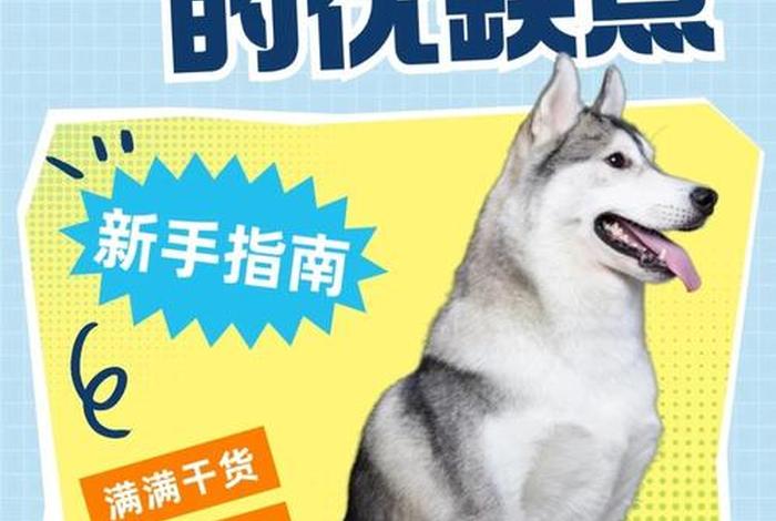 哈士奇电商插件下载教程,哈士奇电商插件下载教程手机版 哈士奇电商插件下载教程,哈士奇电商插件下载教程手机版