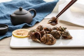 海螺电商系统登录（海螺电子商务有限公司）