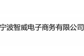 智电商公司、智的电子商务有限公司