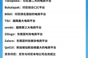 跨境电商平台有哪些个人可以做，跨境电商平台有哪些个人可以做的
