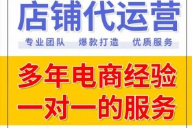 什么叫电商代运营（什么叫电商代运营公司）