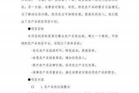 农村电商项目计划书，农村电商项目计划书范文