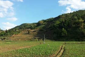 上三滇指上海三林镇吗，三滇怎么读