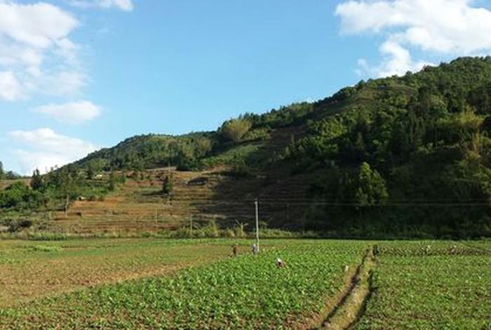 上三滇指上海三林镇吗，三滇怎么读