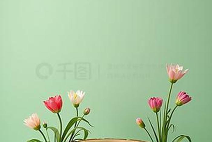 电商主图背景图免费下载（电商主图背景图免费下载软件）