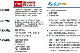 国美电商商业模式（国美电器商业模式）