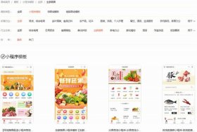 微店商家版官网入口（微店商家版官网入口网址）