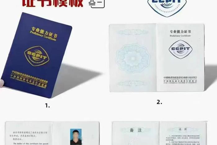 跨境电商初级人才认证官网(跨境电商初级人才证书官网) 跨境电商初级人才认证官网(跨境电商初级人才证书官网)