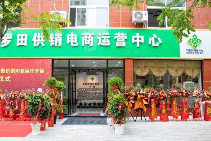 电商牌匾大全（电商牌匾大全设计）