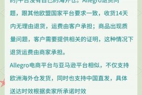 波兰电商平台allegro自发货ok吗（波兰电商平台allegro怎么样）