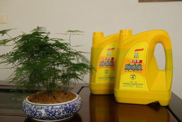 雅琪儿有限公司;雅琪儿有限公司官网 雅琪儿有限公司;雅琪儿有限公司官网