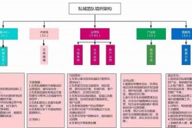 电商运营团队需要哪些人、电商运营团队需要哪些人员