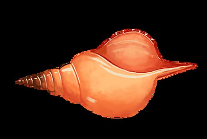 海螺电商系统怎么注册,海螺电商平台进不去怎么办 海螺电商系统怎么注册,海螺电商平台进不去怎么办