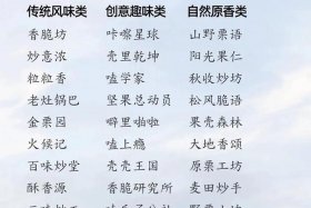 特产电商起名字大全；特产电商起名字大全女