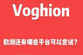 欧洲的电商平台都有哪些 - 欧洲的电商平台都有哪些品牌