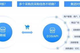 电商SaaS服务 电商saas服务