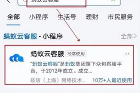 电商认证考试蚂蚁云客服（蚂蚁云客服热线工作认证考试）