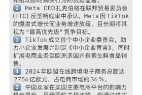 tiktok电商国内合法吗、tiktok跨境电商怎么样