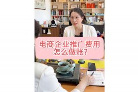 电商平台的推广费怎么入账（电商平台的推广费怎么入账的）