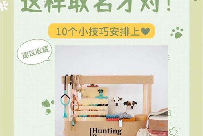 宠物用品电商店铺取名(宠物用品电商店铺取名怎么取) 宠物用品电商店铺取名(宠物用品电商店铺取名怎么取)