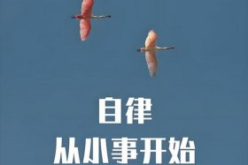 如何成为一个自律的人、如何成为一个自律的人ppt