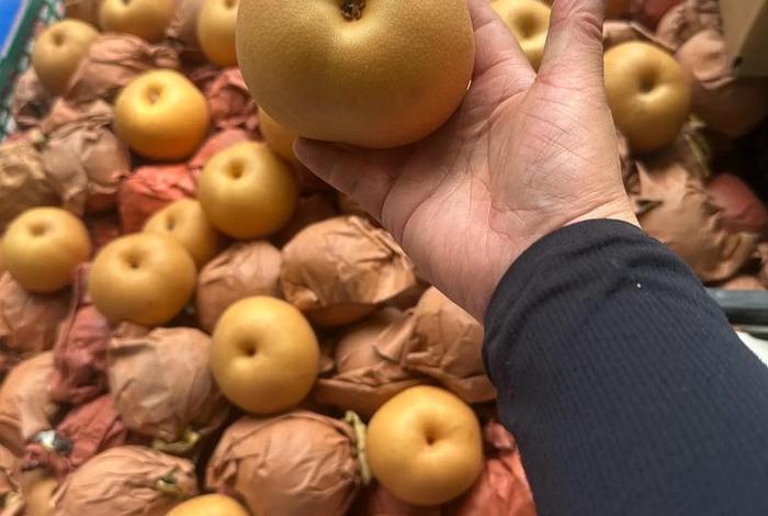 如何加入水果产地直销;如何加入水果产地直销公司 如何加入水果产地直销;如何加入水果产地直销公司