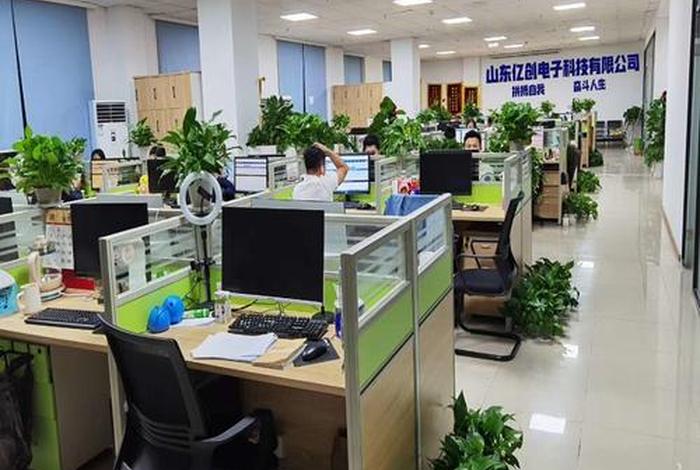 电创电子有限公司怎么样；电创电子有限公司怎么样知乎