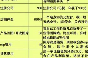 做跨境电商需要花费多少钱（做跨境电商需要花费多少钱呢）