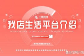 新零售电商平台app（新零售电商平台加盟）