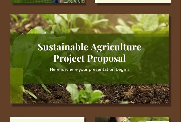 农业电商ppt - 农业电商ppt模板 农业电商ppt - 农业电商ppt模板