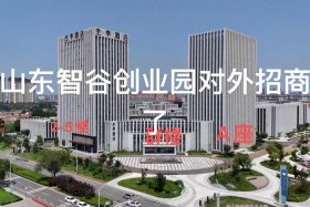 智谷电商，智谷电子商务有限公司