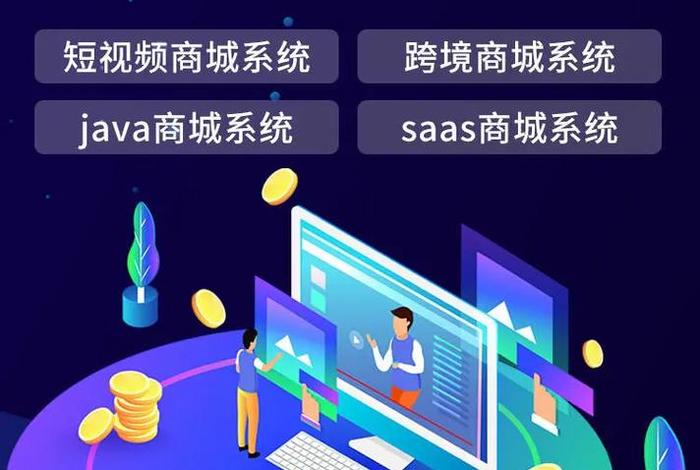 电商管理系统开发定制 - 电商平台定制开发