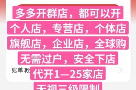 多多电商加盟；拼多多电商平台加盟挣钱吗