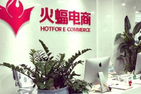 武汉火蝠电商平台官网 武汉火蝠电商平台官网电话