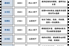 广州电商运营培训哪个机构好（广州电商运营培训哪个机构好一点）