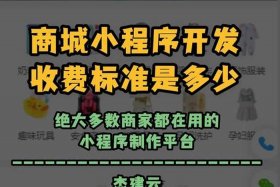 电商商城系统小程序开发费用、小程序网上商城开发费用