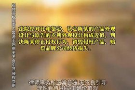 电商侵权销售怎么赔偿、电商侵权销售怎么赔偿的