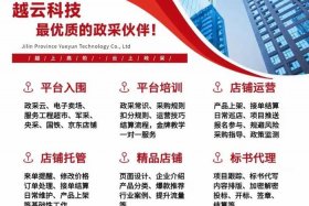 政采云电商平台链接怎么弄（政采云电商平台链接是什么）