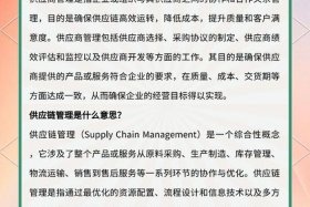 供应链电商是什么意思、什么是供应链电子商务