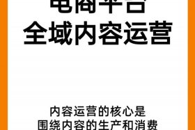 电商哪个平台好运营 - 电商哪个平台好运营呢