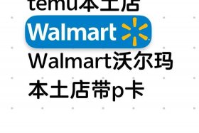 temo跨境电商官网入口官方，跨境omo主流电商平台