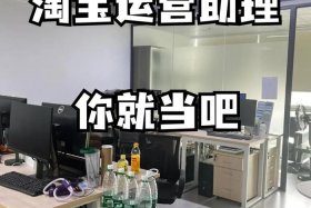 电商助理是干什么的 - 电商助理做什么