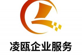 温州电商代运营（温州电商代运营公司）