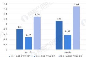 中国跨境电商发展年鉴2020（中国跨境电商发展年鉴2020年）