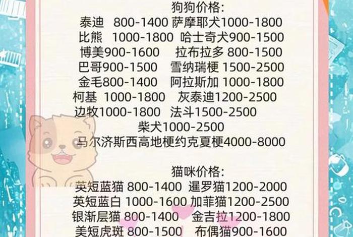 宠物用品电商取名字 宠物用品电商取名字怎么取 宠物用品电商取名字 宠物用品电商取名字怎么取