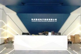 杭州龙炎电商有限公司案件，杭州龙炎电子商务有限公司