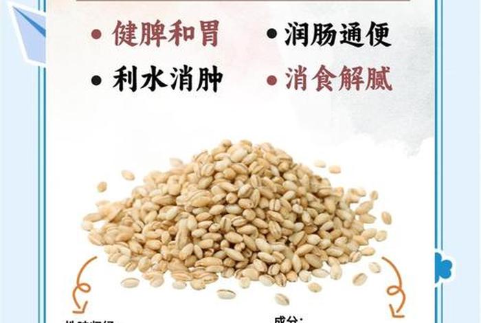 大麦电商是哪里的 - 大麦属于什么电商平台 大麦电商是哪里的 - 大麦属于什么电商平台