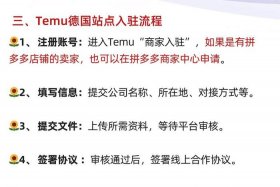 temu电商平台怎么读、trademe电商平台