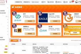 temu开店流程及费用 - temu个人可以开店吗